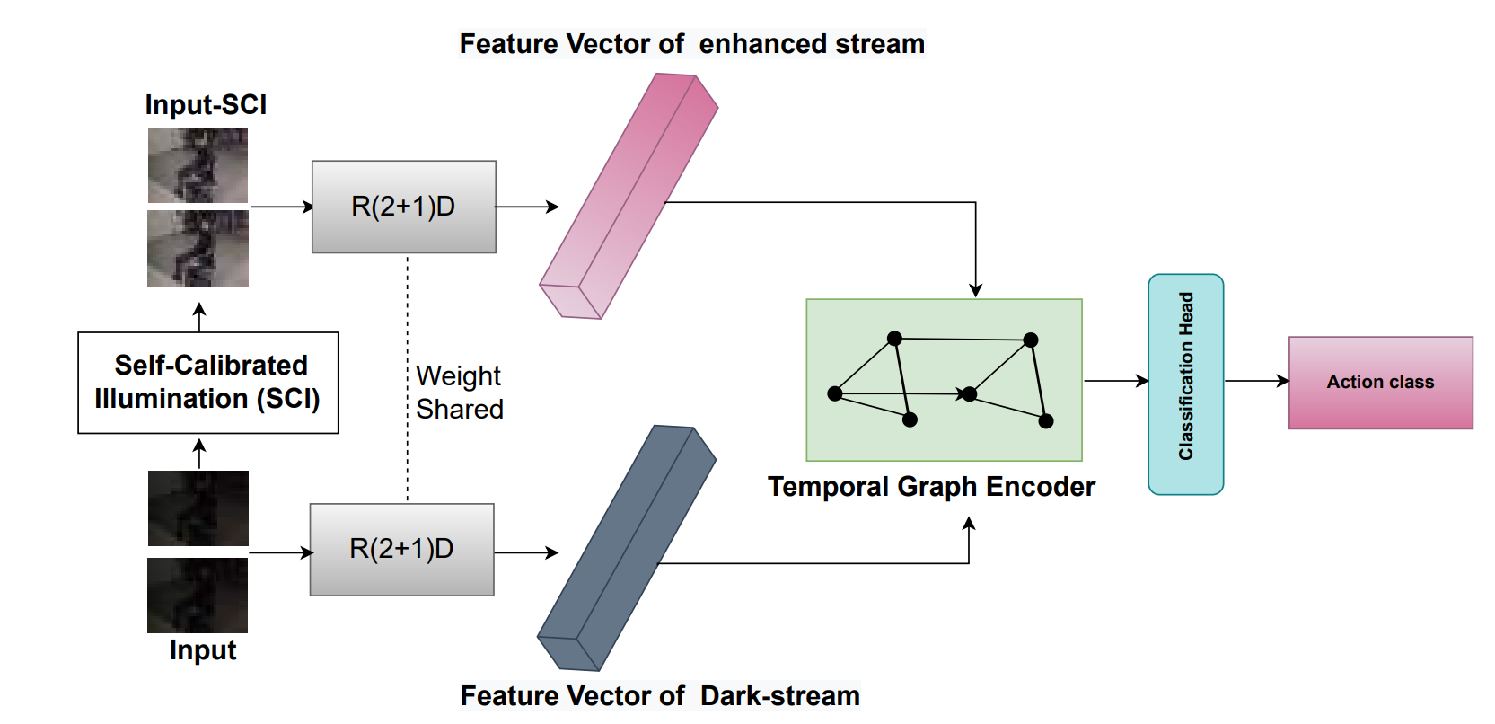 Two-Streams: Dark and Light Networks with Graph Convolution for Action Recognition from Dark Videos image